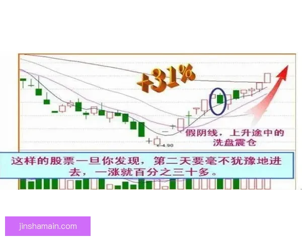 世界杯买球盘口解析全面指南助你精准预测比赛走势